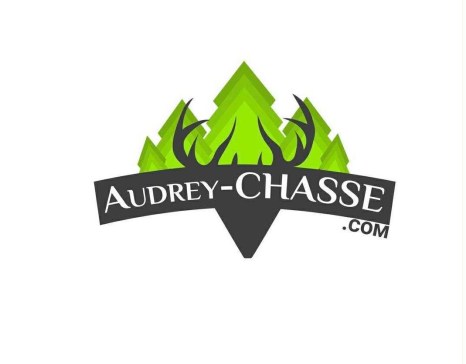 LOT DOGTRA 6bb7b0f6-dad1-42f9-a0ab-025f57656c7d7